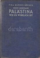 Hugo Hermann: Palästina wie es wirklich ist