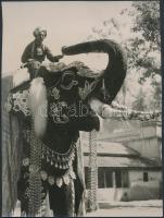 cca 1930 India, a maharadzsa elefántja, angolul feliratozott sajtófotó, 20x15 cm / cca 1930 India, The maharajas elephant, with description on the verso, 20x15 cm