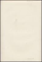 cca 1939 Budakeszi, sváb leány imakönyvvel, Reich Péter Cornel felvétele és általa feliratozott kép,...