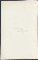 cca 1940 Jávor Pál (1902-1959) színész a társaság középpontjában, Rozgonyi pecséttel jelzett felvéte...