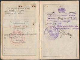 1922 Fényképes, kitöltött csehszlovák útlevél, prágai magyar kirendeltség bélyegzőjével, érdekes bej...