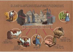 Dreher-Haggenmacher sör reklám, az árpa felhasználása / Hungarian beer advertisement, use of barley