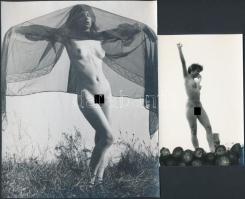 cca 1970 Természeti környezetben, 4 db finoman erotikus fénykép, 24x18 cm és 14x9 cm közötti méretek...