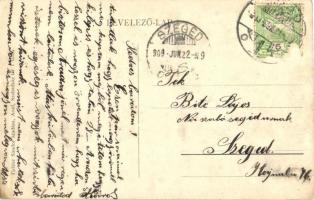 Arad, Gyermekmenhely; Fischer Sándor kiadása / children's asylum