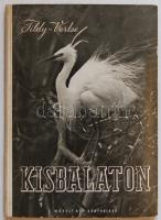 1953 ifj. Tildy Zoltán: A Kisbalaton rengeteg képpel