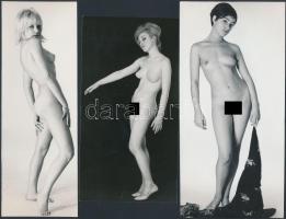 cca 1970 Ruha nélkül szabadon, 4 db finoman erotikus fénykép, 18x6 cm és 24x17 cm közötti méretekben...