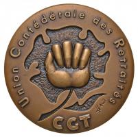 Franciaország 1995. Egységes Szakszervezeti Nyugdíjasok - CGT Br emlékérem dísztokban (64mm) T:1- France 1995. Union Confédérale des Retraités - CGT Br commemorative medal in case (64mm) C:AU