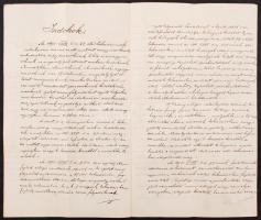 1893 A temesvári kir. ítélő tábla 1. számu büntetőjogi döntvénye, 34x21cm