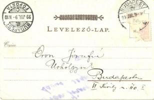 1899 Budapest I. Királyi várpalota, várkert, floral litho (vágott / cut)