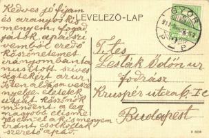 Győr, Püspökvár (EK)