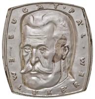 Csontos László (1925-2013) DN "Bugát Pál emlékérem / Tudományos Ismeretterjesztő Társulat 1841" ezüstözött Br emlékérem (79x76mm) T:2