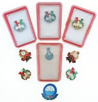 9db-os vegyes magyar jelvény tétel, közte "Törzsgárda" (5x), "Vízügyi Törzsgárdatag 10 éves", "TSZ Dolgozó 15", 4 jelvény tokban T:2