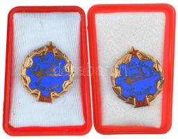 ~1980. "Szarvas - Vas-Fémipari Törzsgárda" 15 és 20 év után, aranyozott, zománcozott tombak jelvény, mindkettő tokban T:2