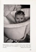 Hevesy Iván: A gyerekek fényképezése. Szabadban és szobában/A gyerekélet jelenetei és a gyerek-arcké...