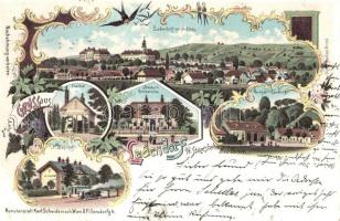 1899 Ladendorf, Wernhart's Handlung, Stricker's Restauration, Eisenbad, Bahnhof, Schloss / shop, restaurant, railway station, castle, floral, Art Nouveau litho  (Rb)