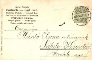 Cockchafer, May bug; Farbenlichtdruck v. Martin Rommel 517