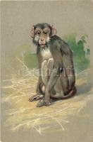 Monkey, P.F.B. Serie 3106. Emb. litho (EK)