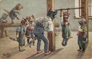 Cat gym class, T.S.N. Serie 1423. (6. Muster) s: Arthur Thiele (small tear)