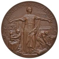 Olaszország / Trieszt 1938. "Auxilium in adversis / Riunione Adriatica di Sicurta Trieste" Br emlékérem. Szign.:MISTRUZZI, S.A.PAGANI (57mm) T:1-,2 Italy / Triest 1938. "Auxilium in adversis / Riunione Adriatica di Sicurta Trieste" Br medallion. Sign.: MISTRUZZI, S.A.PAGANI (57mm) C:AU,XF