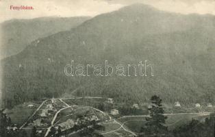 Fenyőháza, Holczmann Izidor kiadása