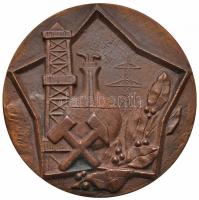 ~1980. "Nehézipari Minisztérium" Br plakett eredeti, sérült tokban (89mm) T:1-