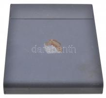 DN "Nemzetőrség 2000" hátoldalán sorszámozott műgyantás fém jelvény, négy lyuk felfüggeszt...