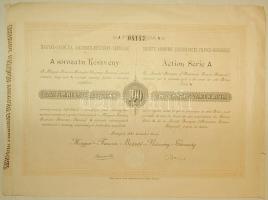 1889. "Magyar-Franczia Biztosító Rt." részvénye 100Ft-ról, szelvényekkel
