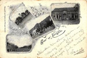 1899 Károlyfalva, floral (small tear)