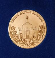 Nagy olimpiai gyűjtemény 1908-tól a modern időkig benne többek között számtalan jelvény, érem, plake...