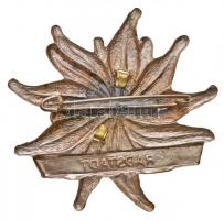 Ausztria ~1930. "Radstadt" havasi gyopár alakú Al turista jelvény T:2
Austria ~1930. &quo...