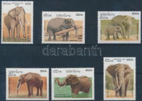 Elefánt sor, Elephant set