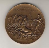 Ausztria/Österreich 1932. "Wiener Regattaverein" Br díjérem T:2/vorz.