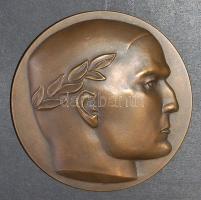 Német Birodalom/Deutsches Reich 1930. "Internationale Hygiene Austellung Dresden" nagyméretű Br plakett T:2/vorz.