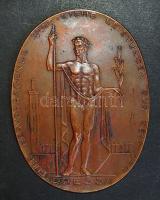 Német Birodalom/Deutsches Reich 1928. "Inter. Presse Austellung Köln" nagyméretű Br plakett T:2/vorz.