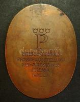 Német Birodalom/Deutsches Reich 1928. "Inter. Presse Austellung Köln" nagyméretű Br plaket...