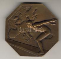 Franciaország/Frankreich 1931. Vízipóló E.B. "Wather-Polo Europische Meisterschaft" nagyméretű szögletes Br díjérem  T:2/vorz.