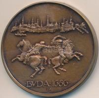 Lapis András (1942-) 1986. "MÉE XVI. Vándorgyűlés / Buda visszafoglalásának 300. évfordulója" Br emlékérem (42,5mm) T:1-,2