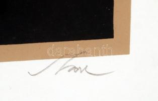 Szász Endre (1926-2003): Női portré. Szitanyomat, papír, jelzett, keretben, 45×34 cm