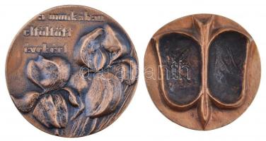 ~1970. "A munkában eltöltött évekért" Br érem szignóval (88mm) + Virág motívumú Br plakett (78mm) T:1-