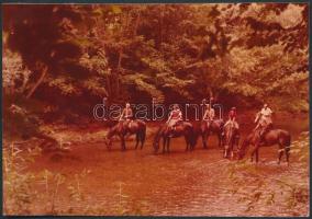 1963 Járai Rudolf, MTI fotó: A Lajtahansági Állami Gazdaság lovasiskolája,jelzett, verzón feliratozva, 8x12cm