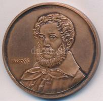 Fritz Mihály (1947-) 1988. "Kossuth Lajos Tudományegyetem Debrecen" Br emlékérem (42,5mm) T:2