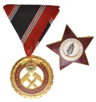 1957. "Bányász Szolgálati Érdemérem arany fokozata" aranyozott Br kitüntetés mellszalagon + ~1970. "A Szocialista Kultúráért" zománcozott jelvény T:1-