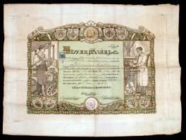 1915 Nagyméretű oklevél, bizonyítvány szabómester részére 66x50 cm