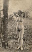Erotic nude lady. Künstler Akt-Studie (non PC) (EK)