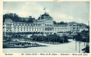 Budapest II. Lukács fürdő (fa)