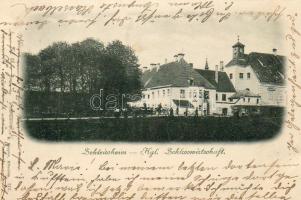 Schlesshaim 1898