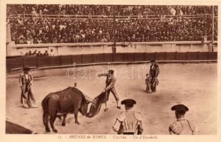 Nimes, Arena, bullfight, torreador Un dEscabello (fa)