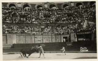 Bullfight, Photo George