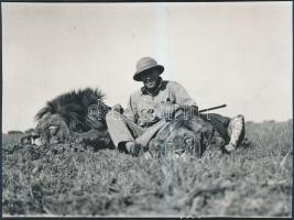 1934 Széchenyi Zsigmond (1898-1967) vadász és író afrikai vadászaton elejtett két oroszlánnal, későbbi másolat a korabeli üveglemez negatívról, 12x17 cm