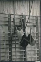 cca 1970 Bordásfalon, 24x16 cm